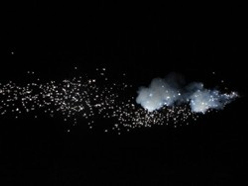Gunflash